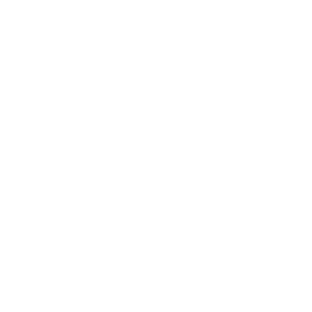 Audit